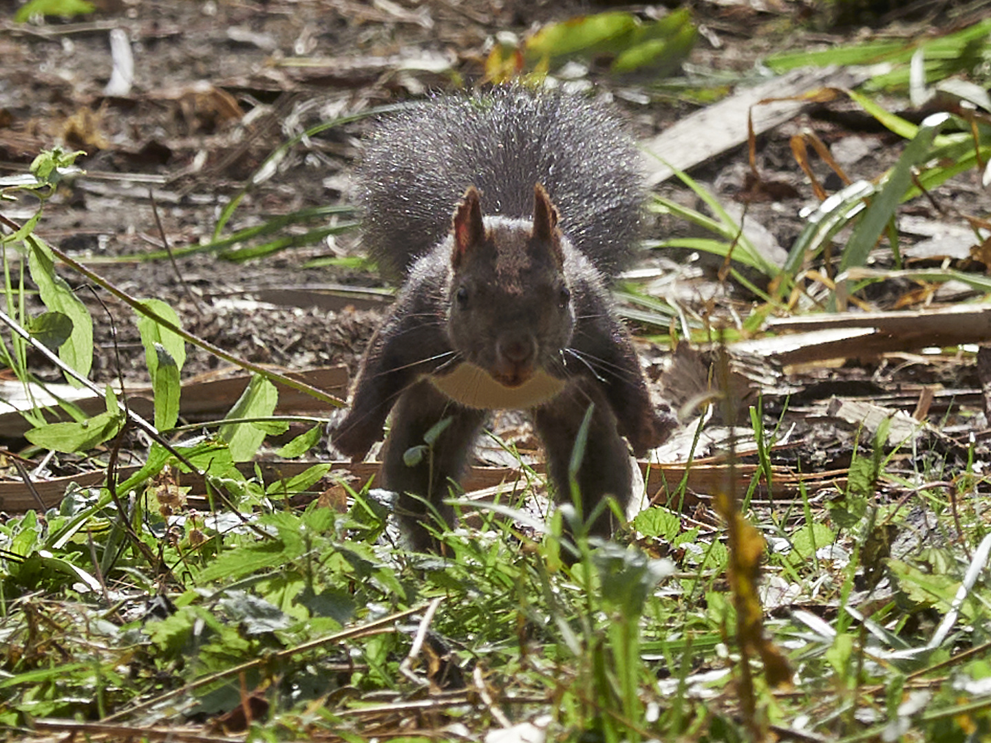 Kann man da hineinspringen ?