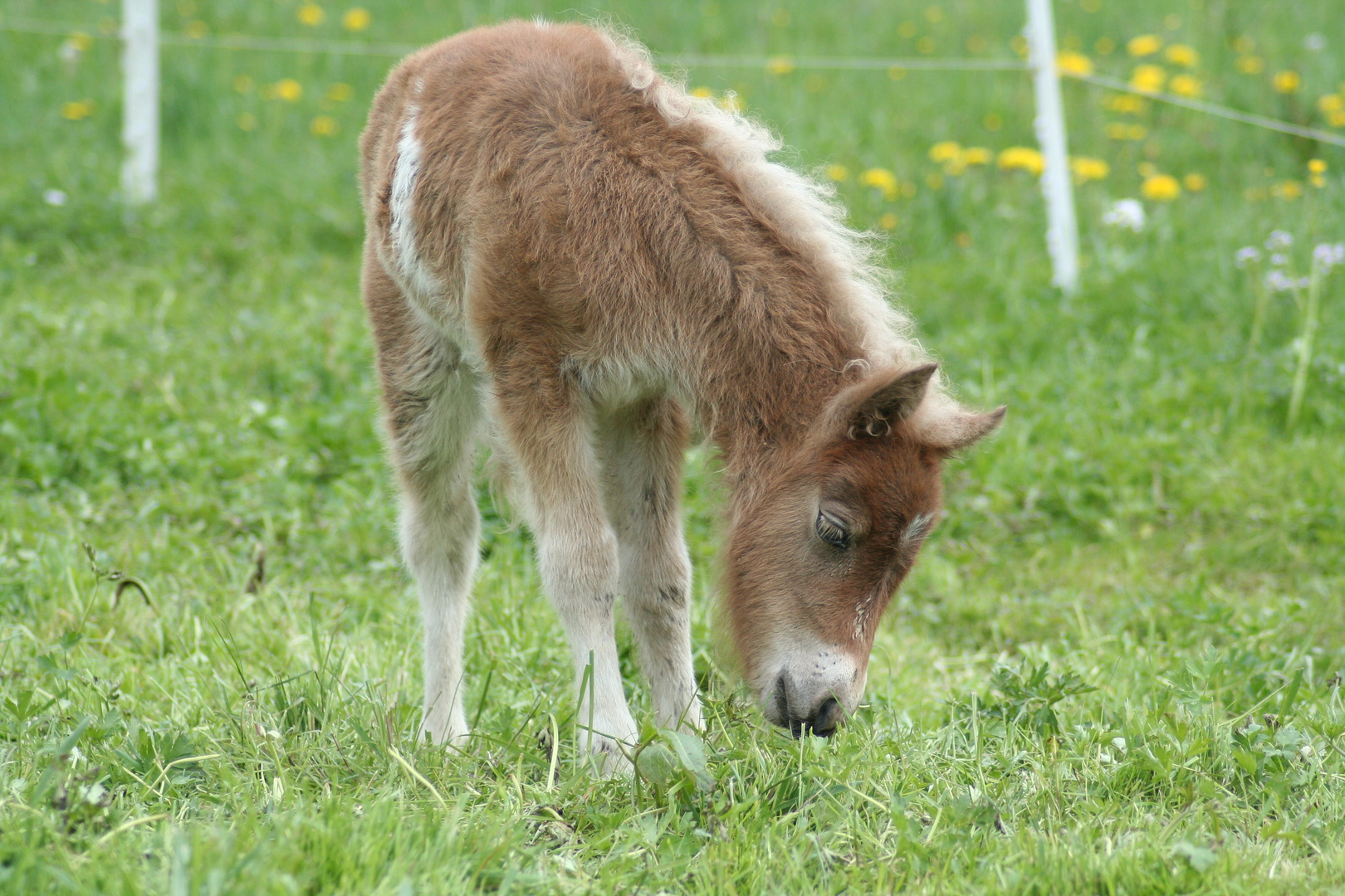 Kann man das Essen?