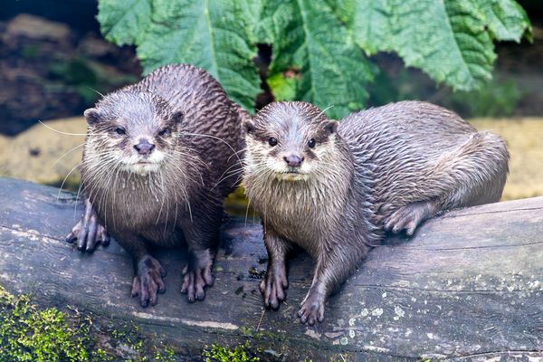 "Kann man nicht einmal seine Ruhe haben!?!"