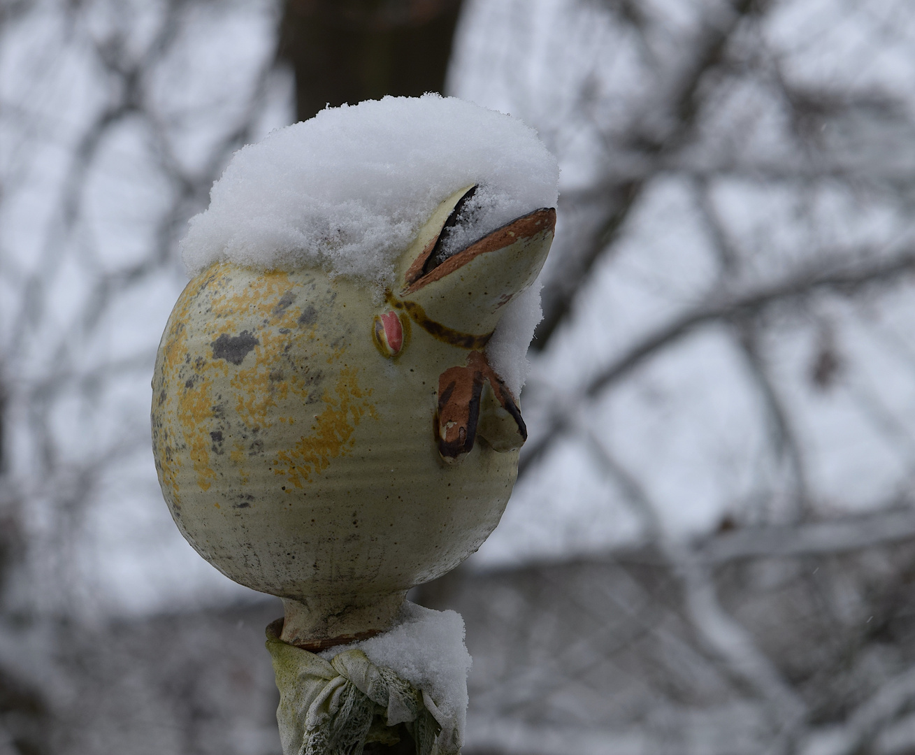 Kann mir bitte mal jemand den Schnee von den Augen wischen !!