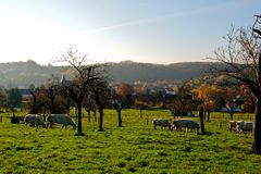 Kanne (Belgium) - View on Kanne seen from Pruisstraat