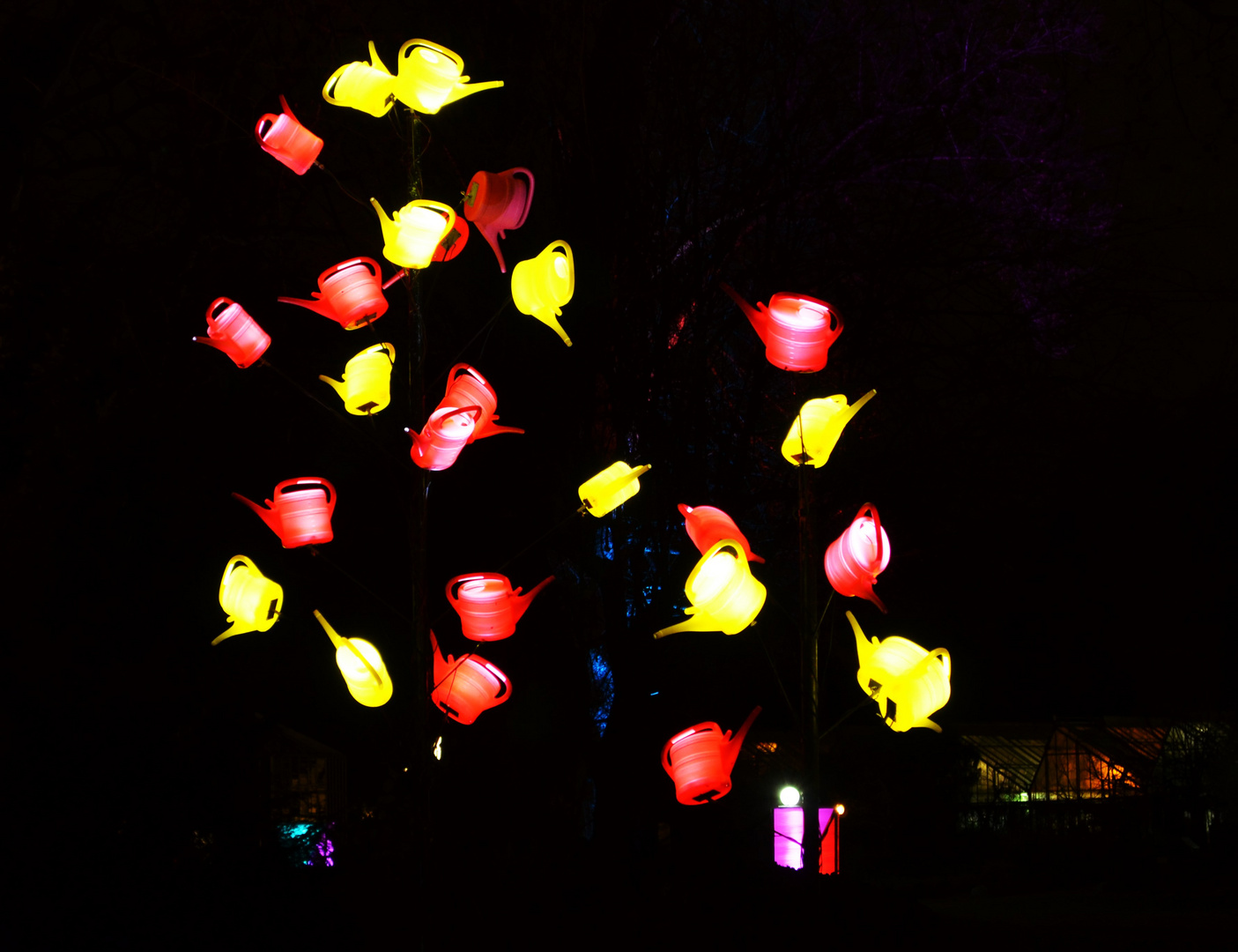 Kannenpflanze - Winterlichter