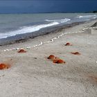 Kanonenkugeln am Strand