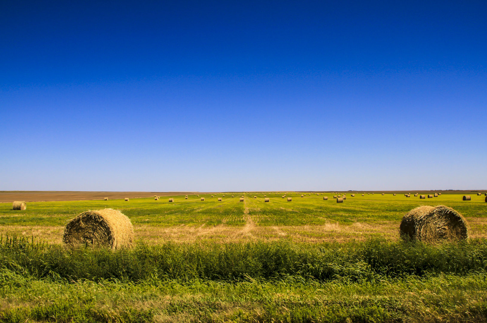 Kansas