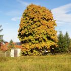 Kanstanie Meckfeld Herbst