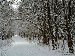 Kantenbetonung "weiß"