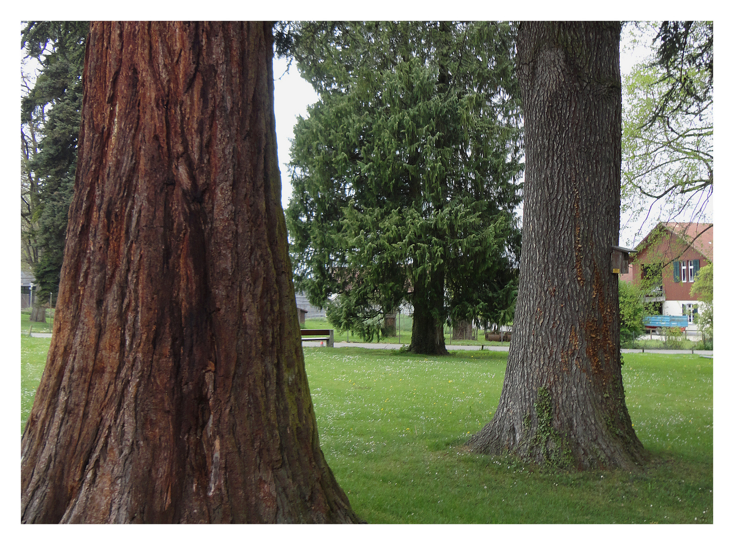 Kantonsspital Münsterlingen: im Park