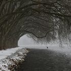 Kanufahrer auf dem Baldeneysee