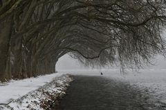 Kanufahrer auf dem Baldeneysee