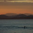 Kanufahrer bei Sonnenuntergang - Australien