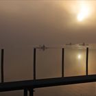 Kanufahrt im Nebel auf dem Großen Plöner See am 3.12.2016