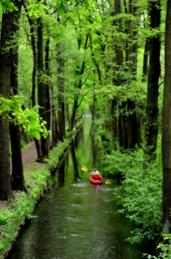 Kanufahrt im Spreewald