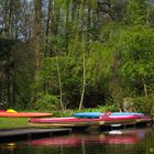 Kanus an der Alster