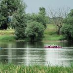 Kanus auf der Elbe