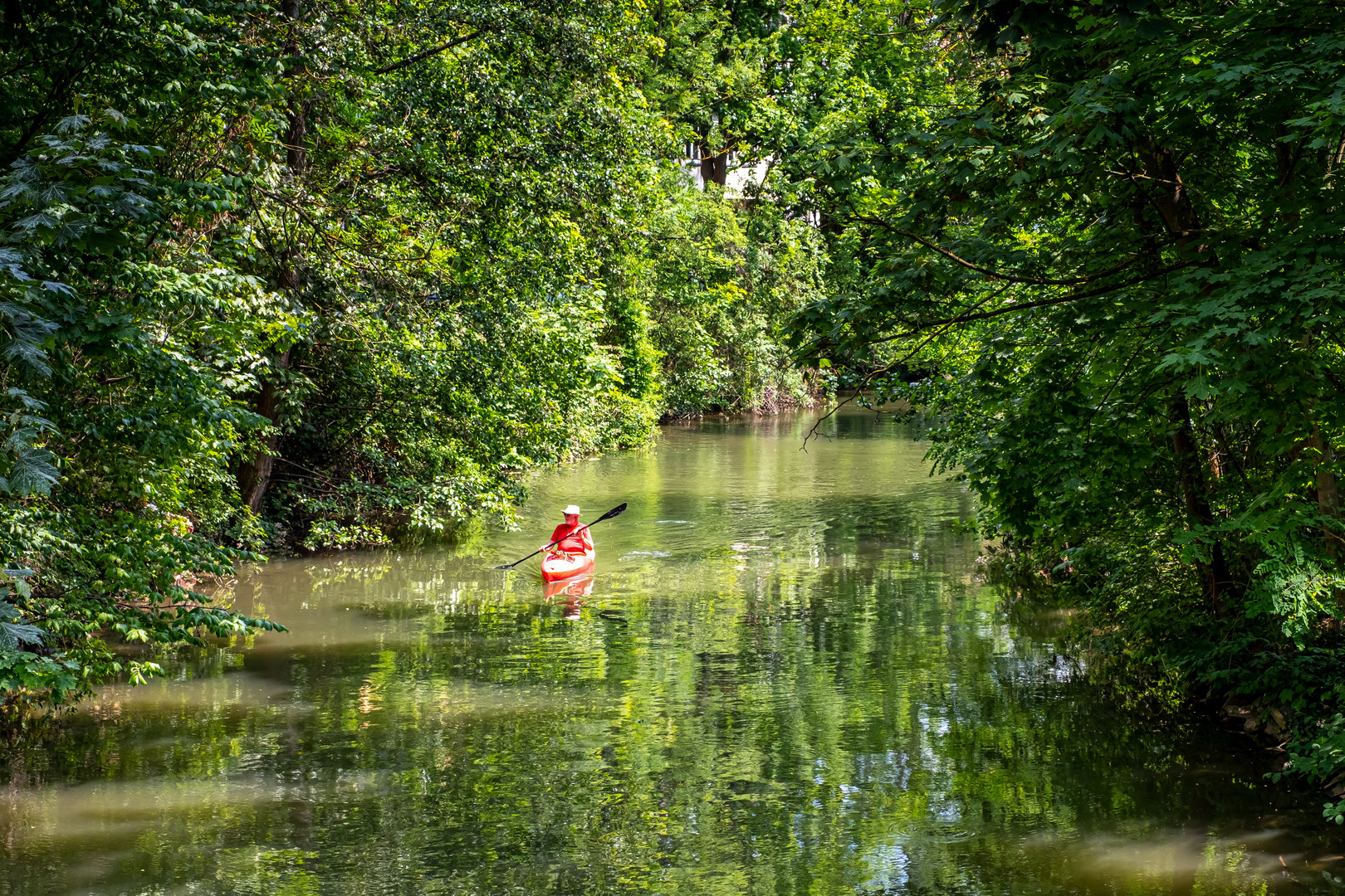 Kanute in der Regnitz