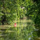 Kanute in der Regnitz