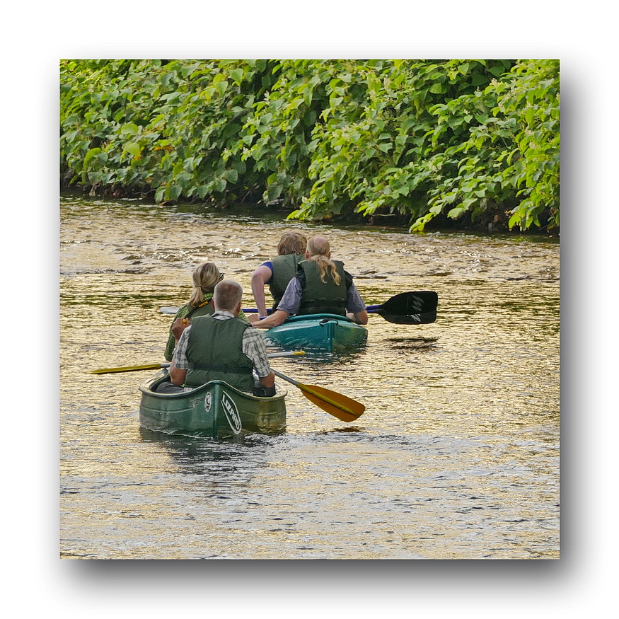 Kanuten sollen die Wupper nur noch mit einem "Führerschein" befahren.