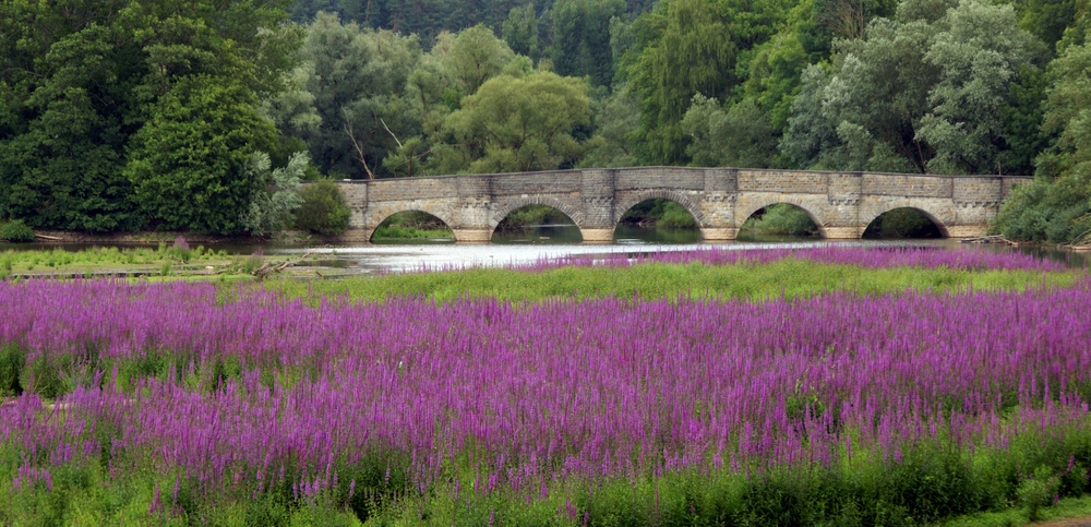 Kanzelbrücke ...