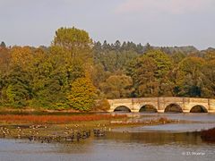 Kanzlerbrücke