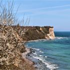 KAP ARKONA IM FRÜHLING