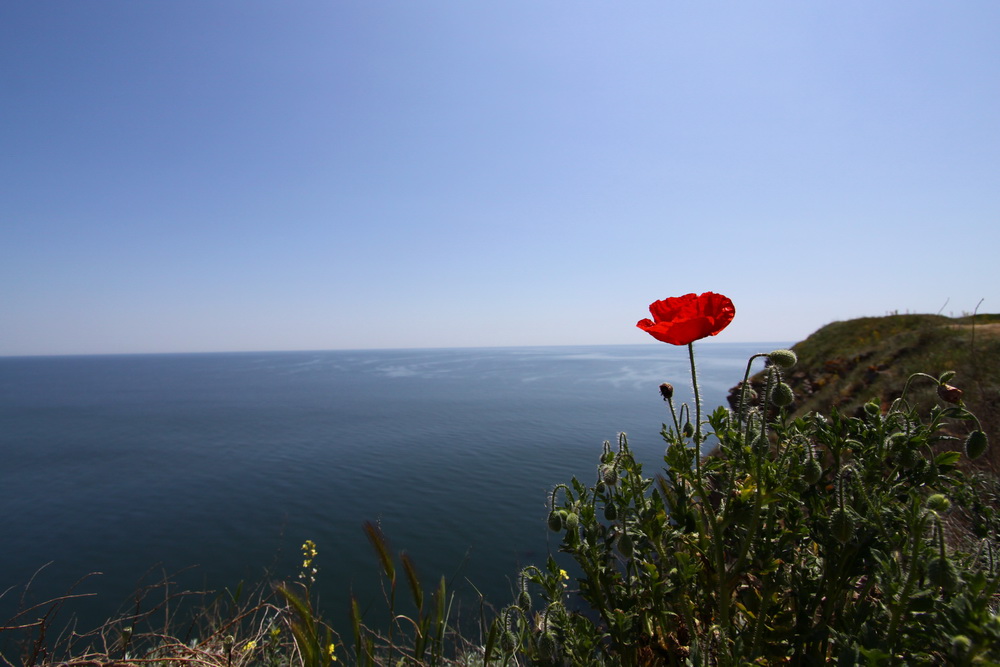 Kap Kaliakra Bulgarien