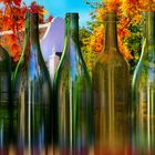 Kap Wein Flaschen ~ cape wine bottles