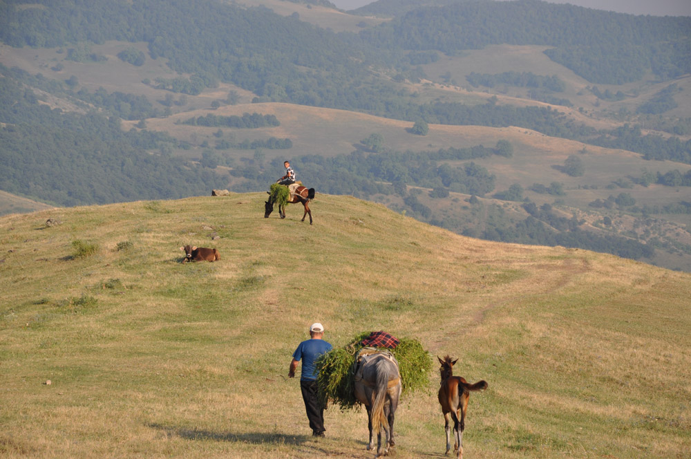 Kapan