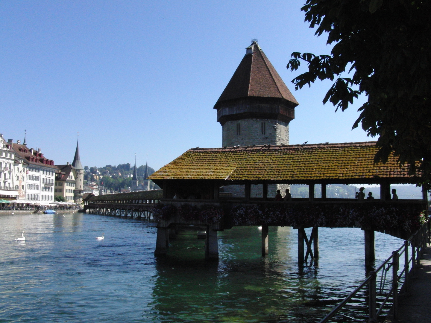 Kapellbrücke Luzern