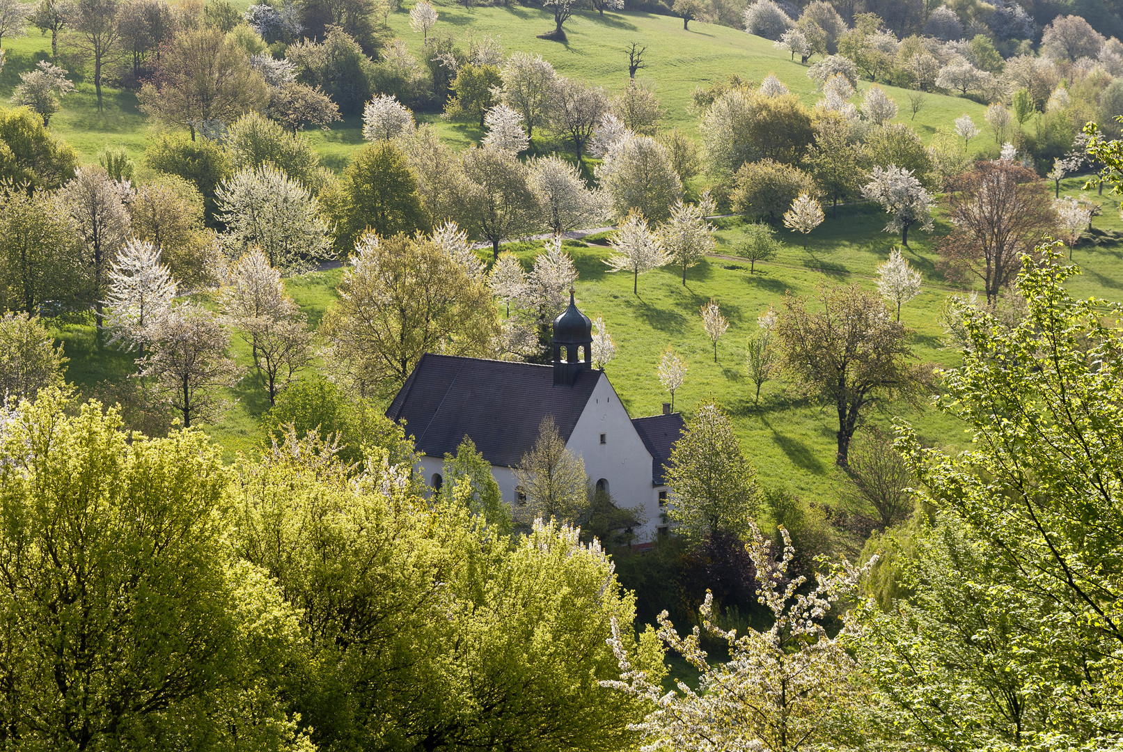 Kapelle auf Obstwiese im Schwarzwald