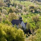 Kapelle auf Obstwiese im Schwarzwald