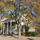 Kapelle im Friedhof Frankfurt Höchst 2