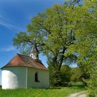 Kapelle im Grünen