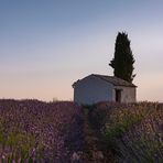 "Kapelle" im morgendlichen Streiflicht - 2019-5657