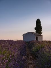 "Kapelle" im morgendlichen Streiflicht - 2019-5657