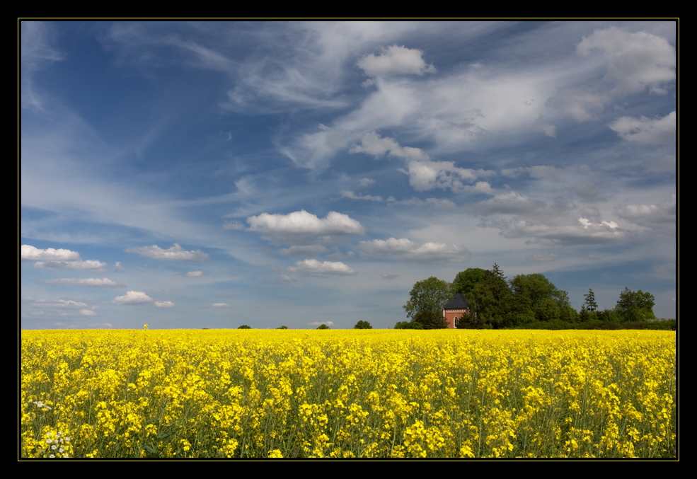 Kapelle im Raps