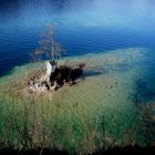 Kapelle im See