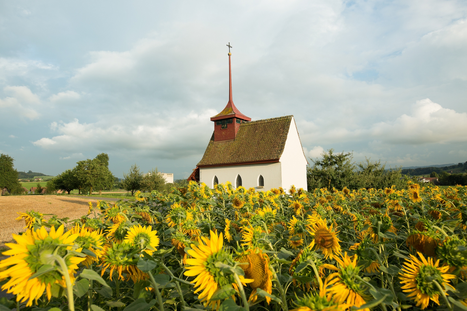 Kapelle im Sonnenblumenfeld