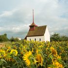 Kapelle im Sonnenblumenfeld