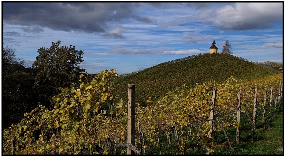 Kapelle im Weingarten