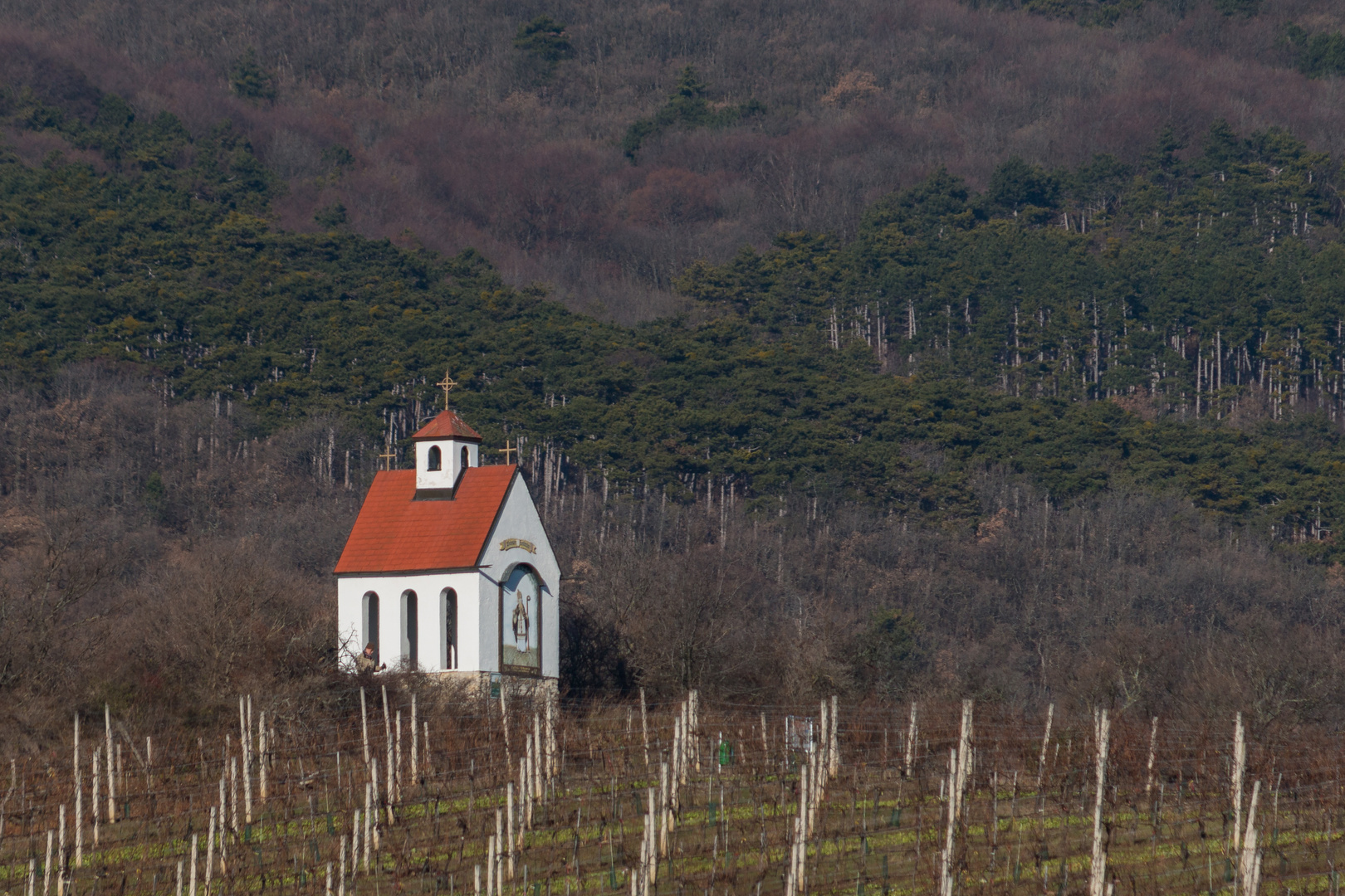 Kapelle in den Weinbergen