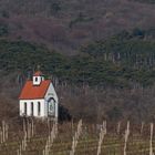 Kapelle in den Weinbergen