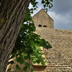 Kapelle mit Baum