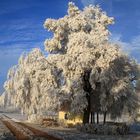 Kapelle mit Baum im Raureif