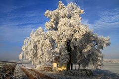 Kapelle mit Baum im Raureif