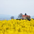 Kapelle Schönberg, Maiwanderung, angekommen