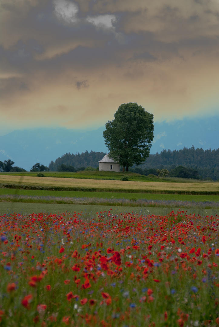 Kapelle Song Mang bei Bonaduz