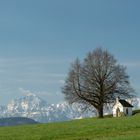 Kapelle St. Anna bei Sillersdorf mit dem Hochstaufen im Hintergrund