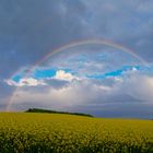 Kapelle und Regenbogen über einem Rapsfeld