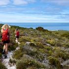 Kaphalbinsel Wanderung