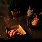 " Kapital der Familie, Piglets " , Ibajay - Aklan - Panay